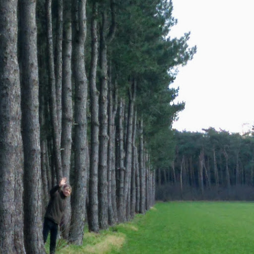 zwaai bos